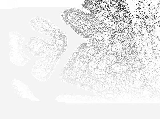 The redesigned Enable Medicine Visualizer