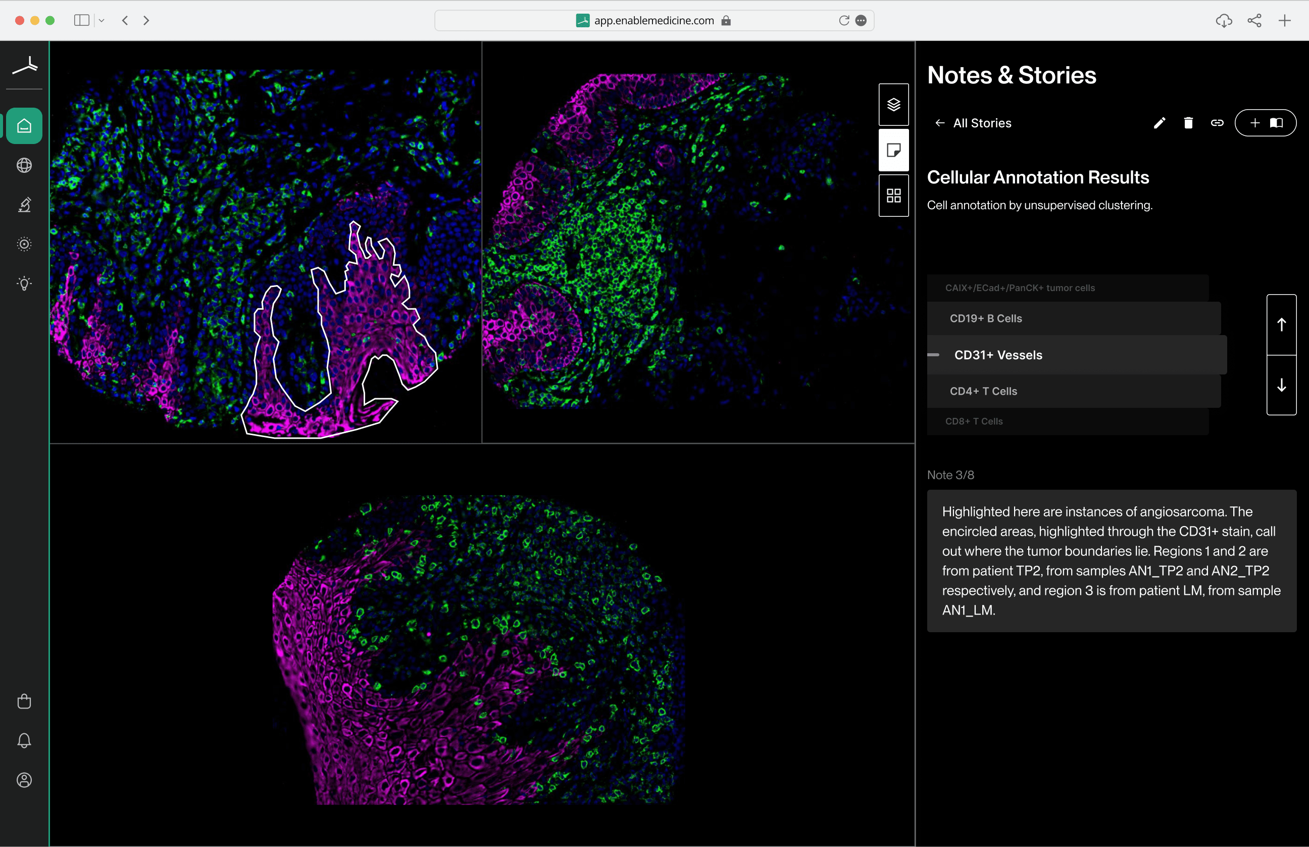 Visualizer — notes and stories panel