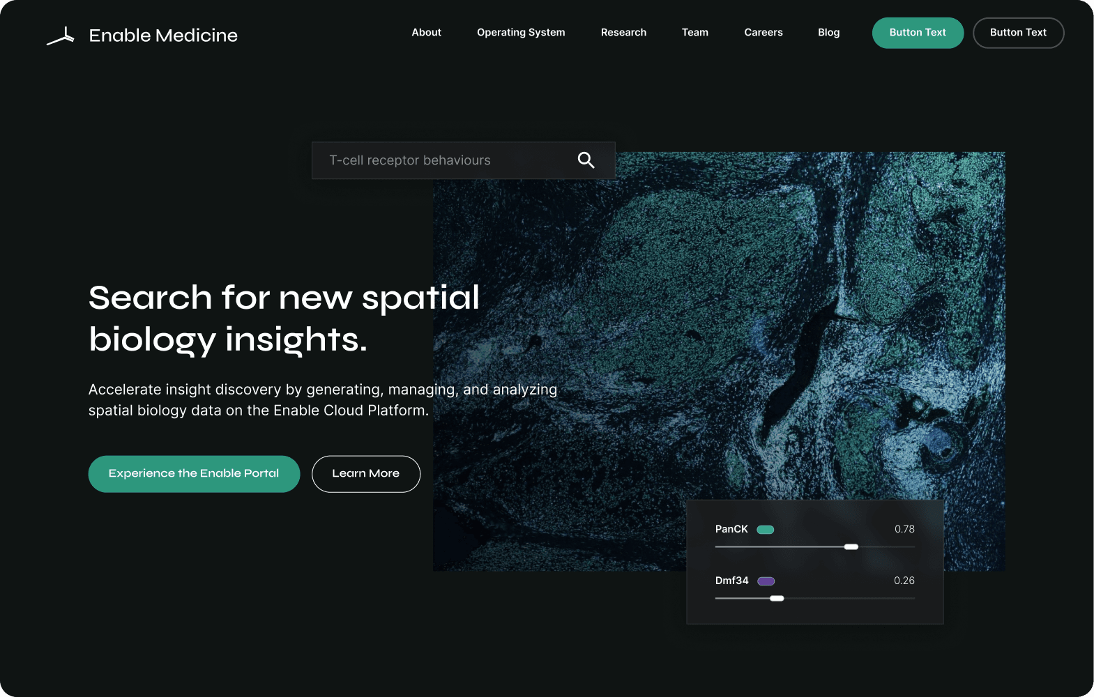 Enable Medicine's marketing site: “Search for new spatial biology insights.”