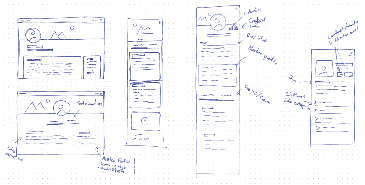 Mentee profile sketch