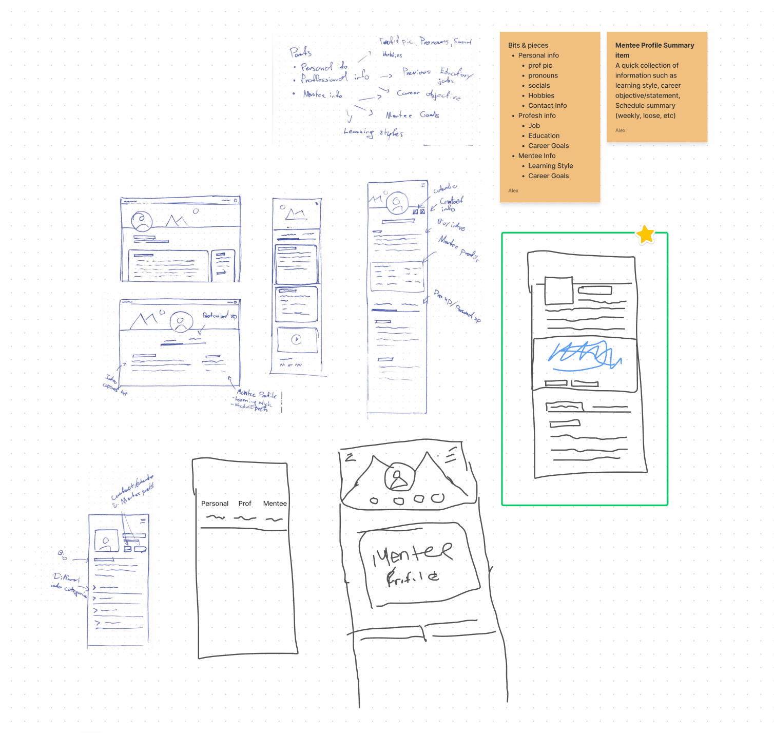 Mentee profile sketches